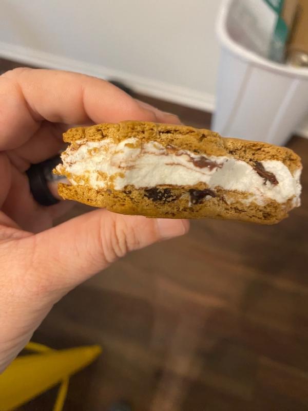 On Second Scoop: Ice Cream Reviews: Blue Bunny Stuffed Puffs Classic  S'mores Sandwiches