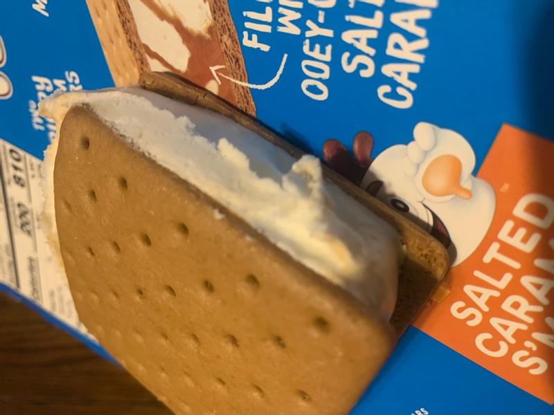 On Second Scoop: Ice Cream Reviews: Blue Bunny Stuffed Puffs Classic  S'mores Sandwiches