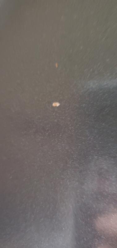 The chipped part