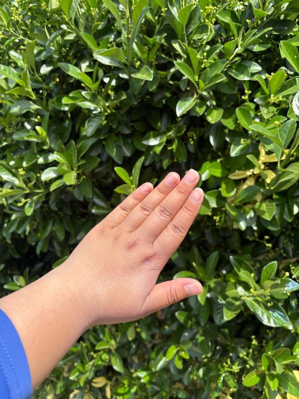 User uploaded product image