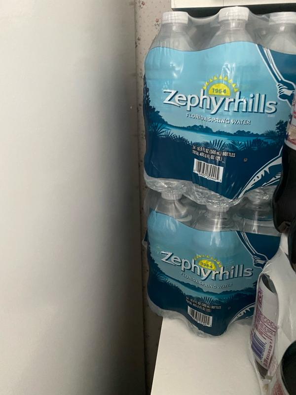 Zephyrhills 16.9-fl oz Spring Bottled Water 11475525 at Lowes.com