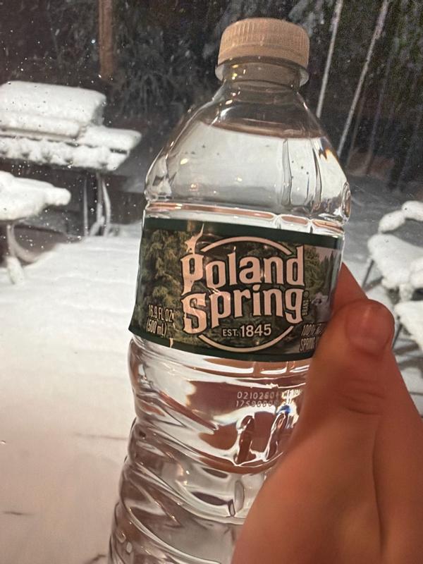 Poland Spring 16.9-fl oz Spring Bottled Water 75720445738 at Lowes.com