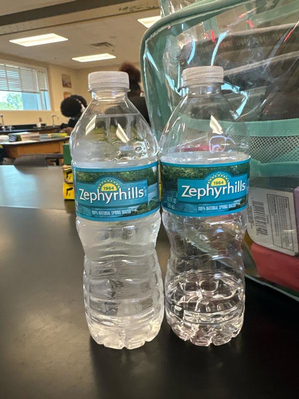 Zephyrhills 16.9-fl oz Spring Bottled Water 11475525 at Lowes.com