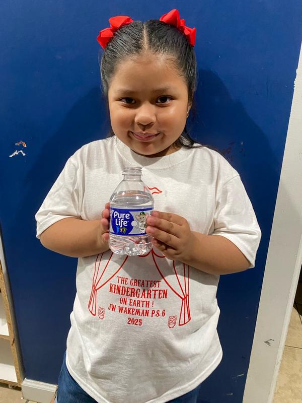 NESTLE WATER PURE LIFE 24-16.9FLZ - Gordon Restaurant Market