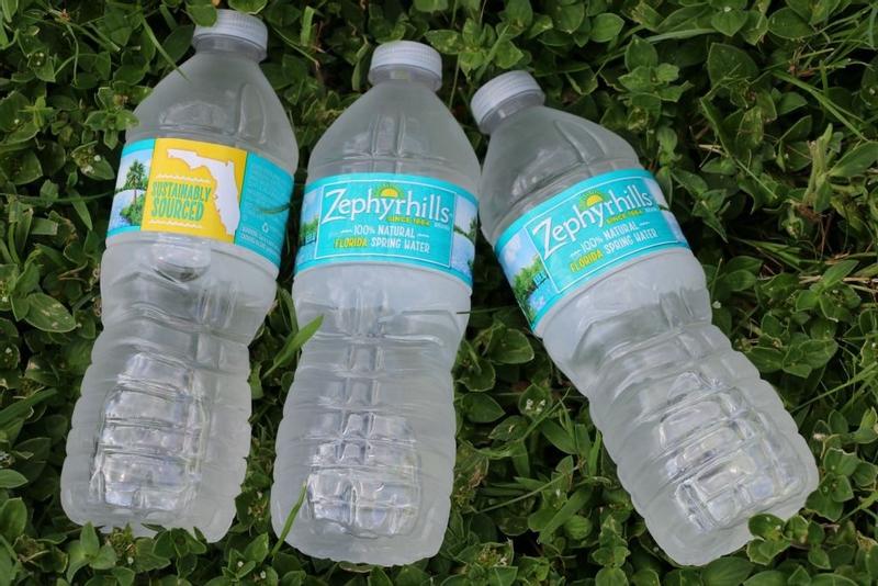 Zephyrhills 16.9-fl oz Spring Bottled Water 11475525 at Lowes.com