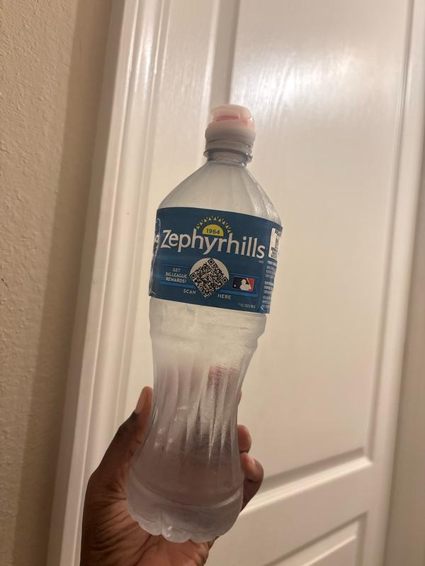 Zephyrhills 16.9-fl oz Spring Bottled Water 11475525 at Lowes.com