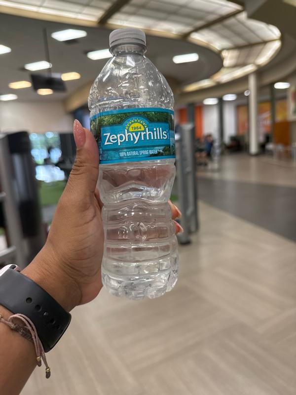 Zephyrhills 16.9-fl oz Spring Bottled Water 11475525 at Lowes.com