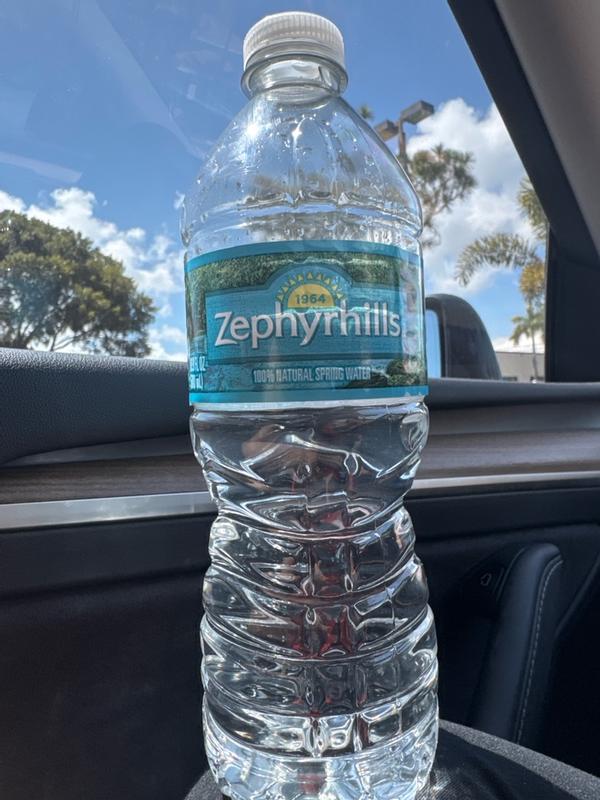 Buy Zephyrhills 100% Natural Spring Water, 16.9 oz - 24 pk from