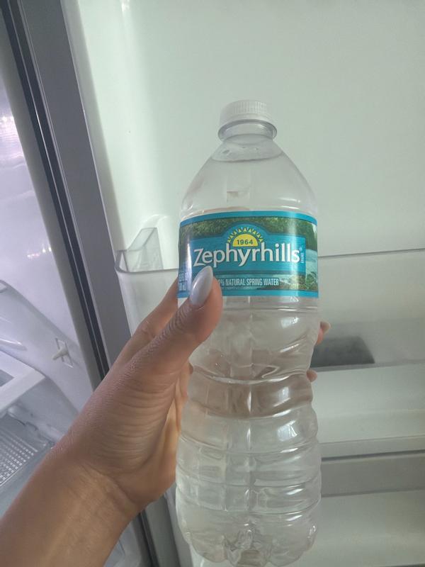 Zephyrhills 16.9-fl oz Spring Bottled Water 11475525 at Lowes.com