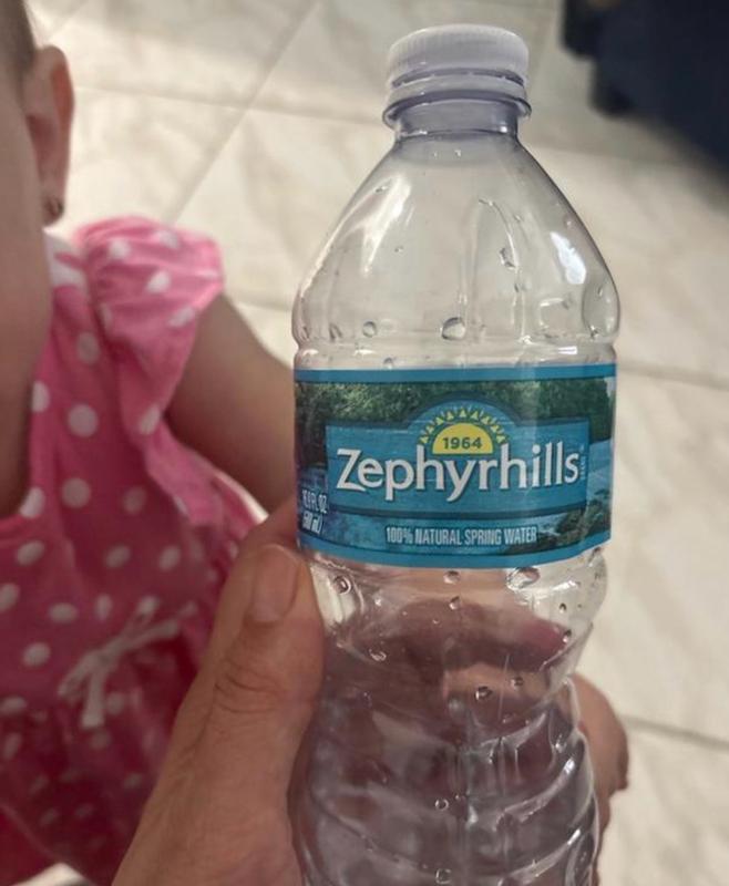 Zephyrhills 23.7-fl oz Spring Bottled Water 00073430562226 at