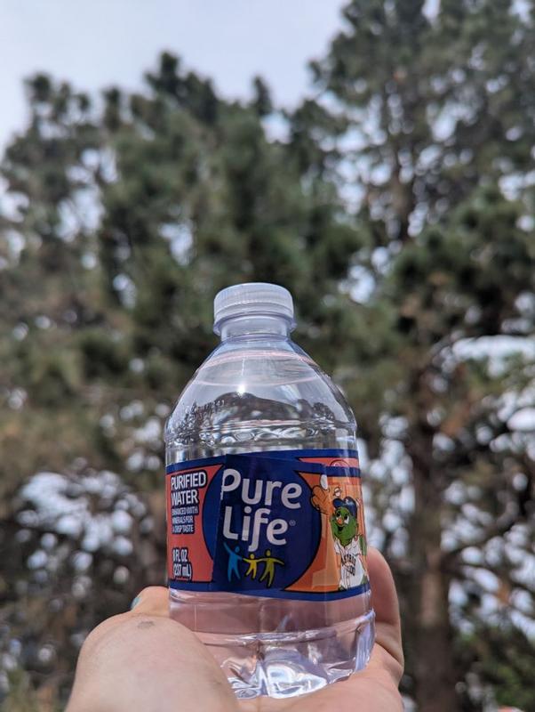 Buy Pure Life Purified Water, 16.9 fl oz - 6 ct from Dollar