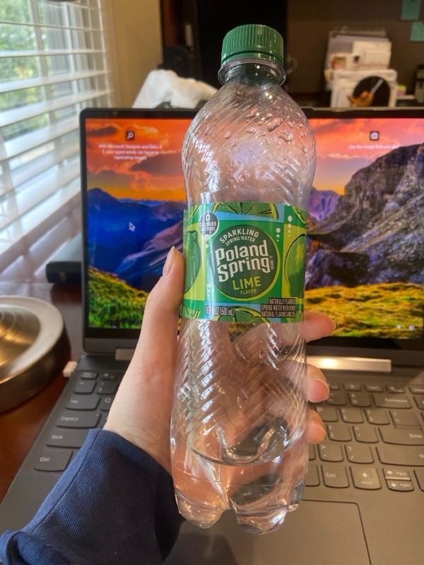 Poland Spring 16.9-fl oz Spring Bottled Water 75720445738 at Lowes.com