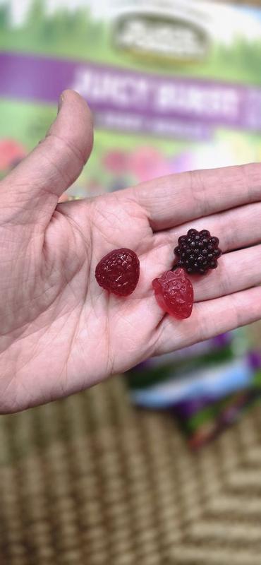 Buy Black Forest Juicy Burst Fruit Snacks - Berry Medley, 17.6 oz