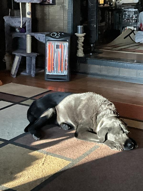 It does the job for EVERYONE!!!