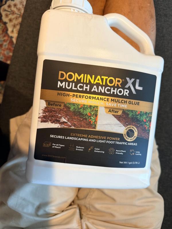 DOMINATOR Mulch Adhesive 5-Gallon Clear Finish Mulch Dye LMA05GL