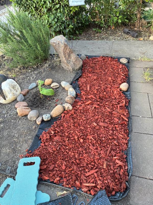DOMINATOR 5 Gallons Clear Adhesive Rock, Pea, Gravel Mulch Glue in