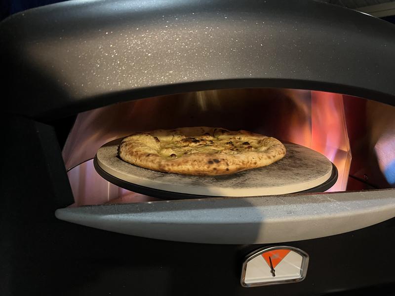 Photo by Bret of Pizza Oven with Mobile Cart