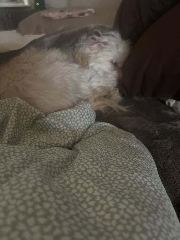 Photo submitted with review of product