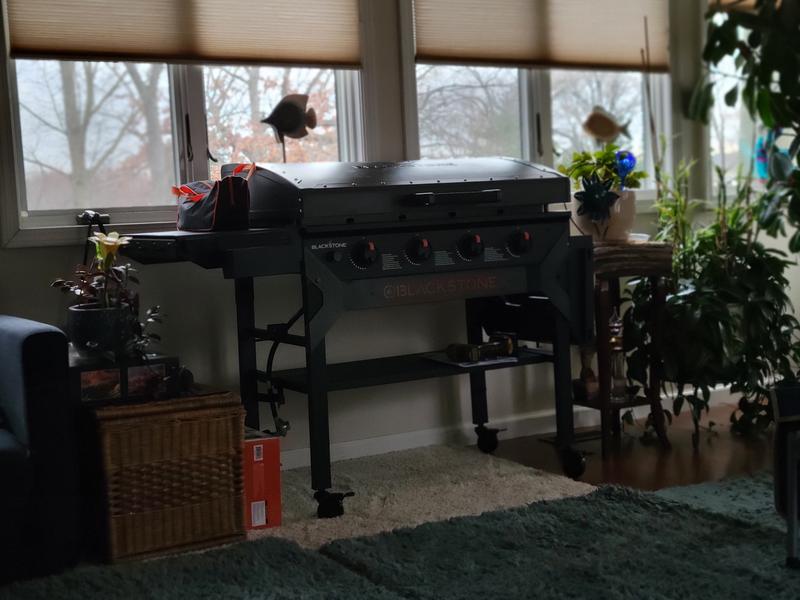 Photo submitted with review of product