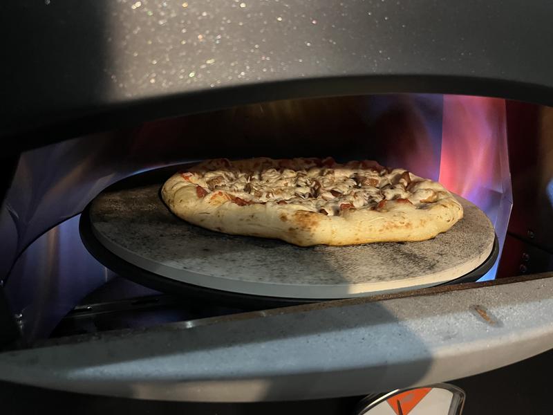 Photo by Bret of Pizza Oven with Mobile Cart