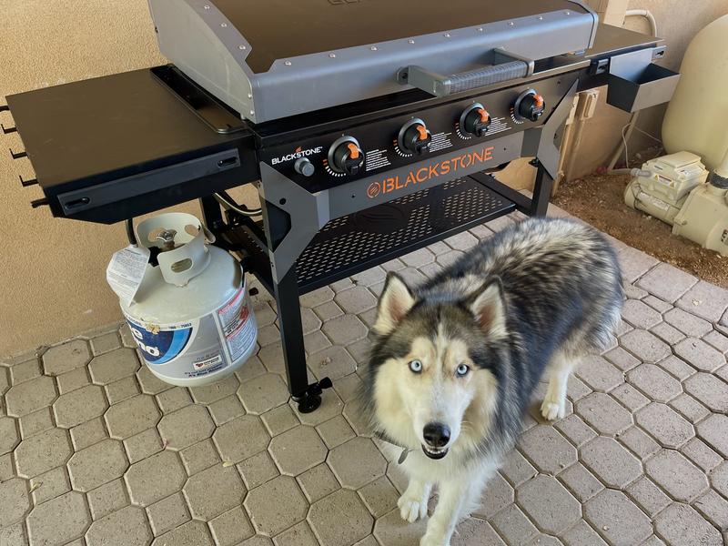 Photo submitted with review of product
