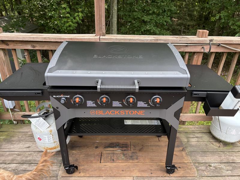 Photo submitted with review of product