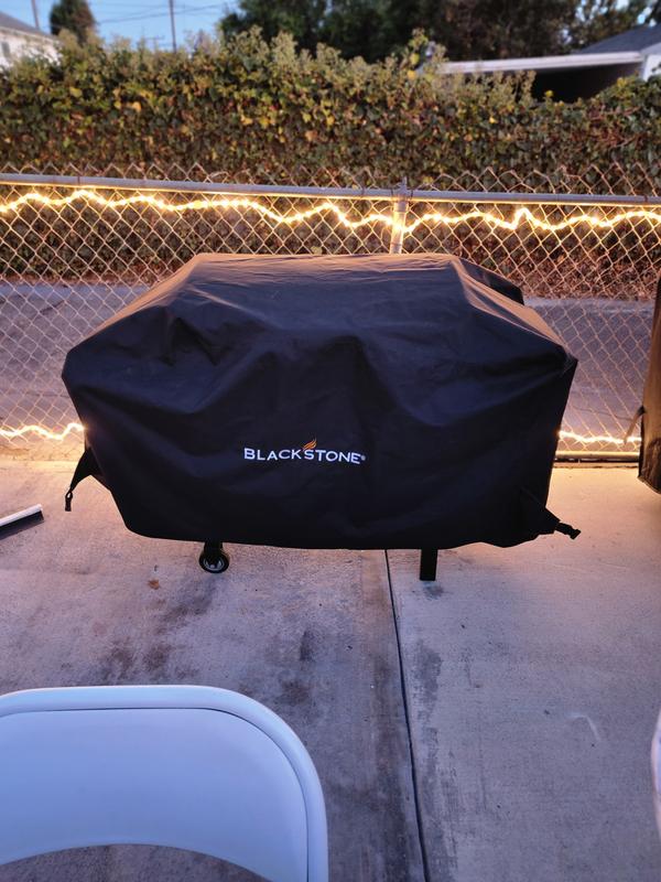 She's all dressed up.