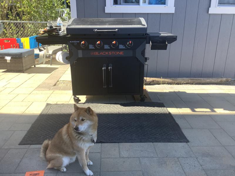 Customer setup photo