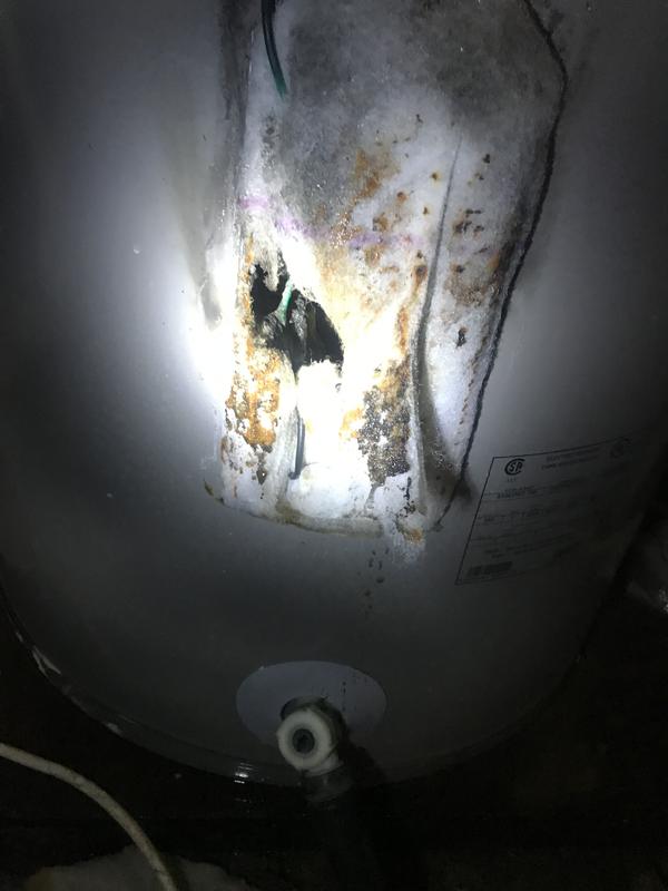 Reliance 50 Gallon Electric Tall Water Heater 50 EORT