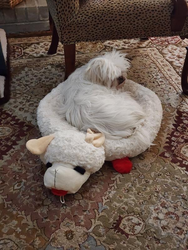 Lamb Chop Dog Toy Bed Collection Sale gbupresnenskij.ru