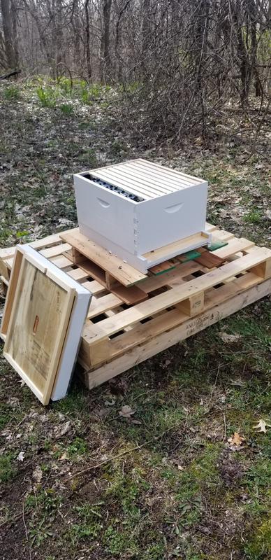 Little Giant HIVE10KIT Beginner Bee Hive Kit for sale online 