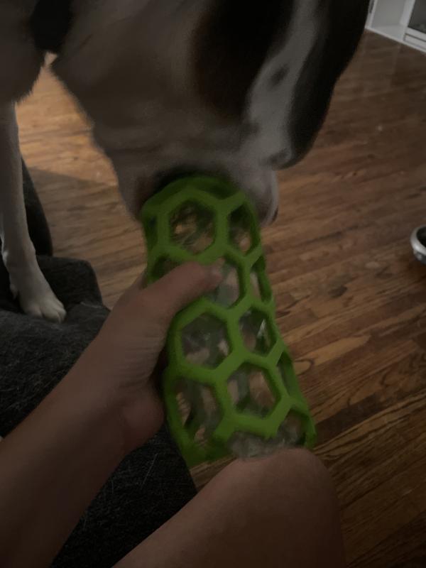 Hol-ee Water Bottle Toy - Clean Run