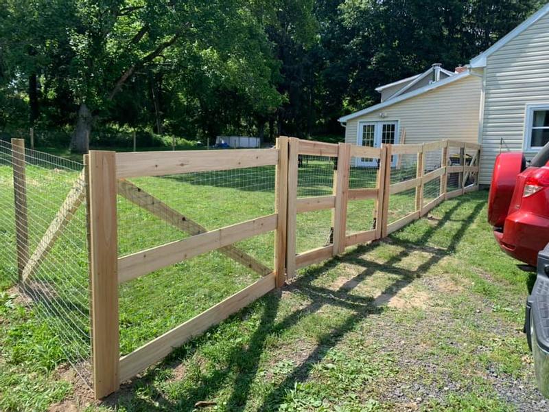 Red brand dog store fence