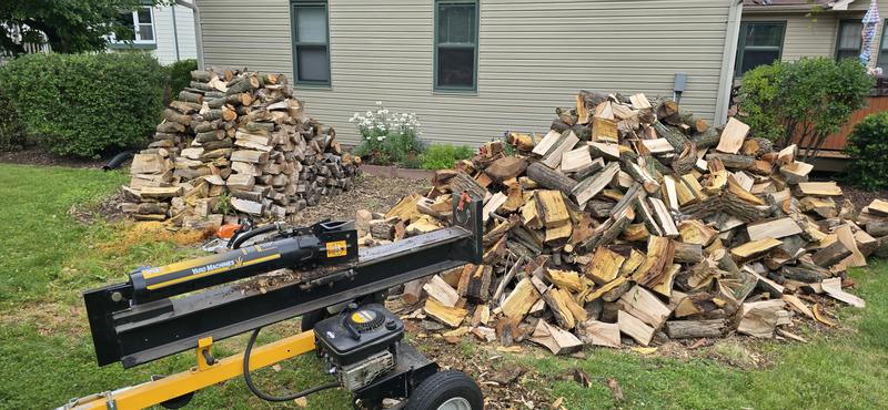 STIHL MS 291 20