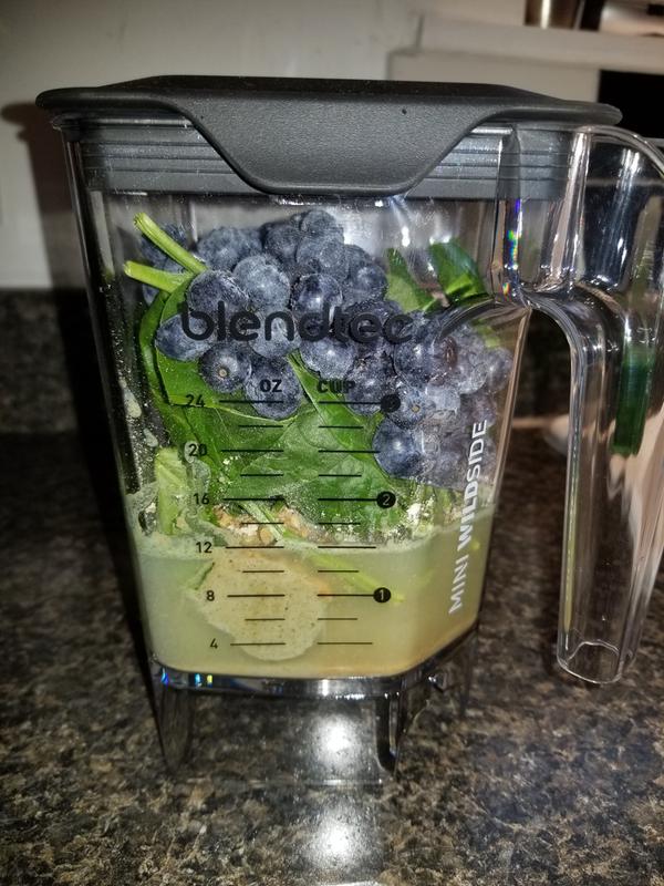 Blendtec Mini WildSide Jar 