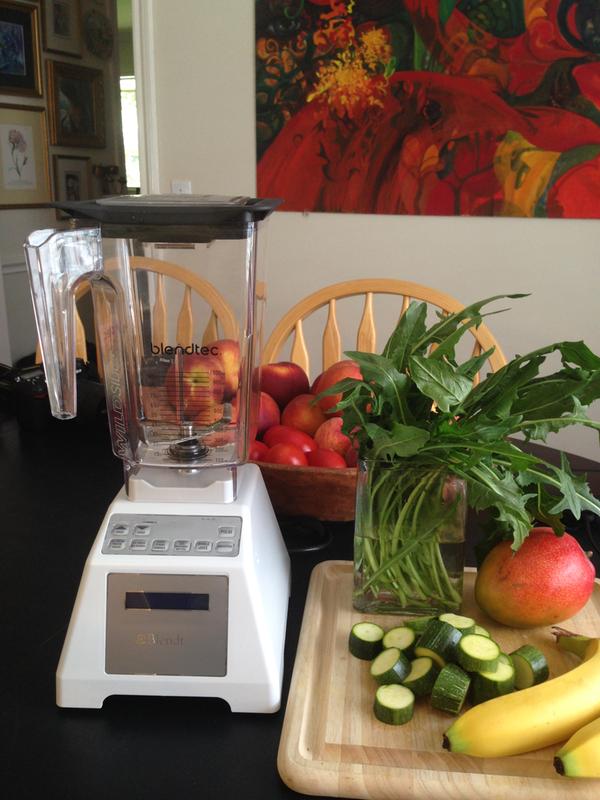 used blendtec