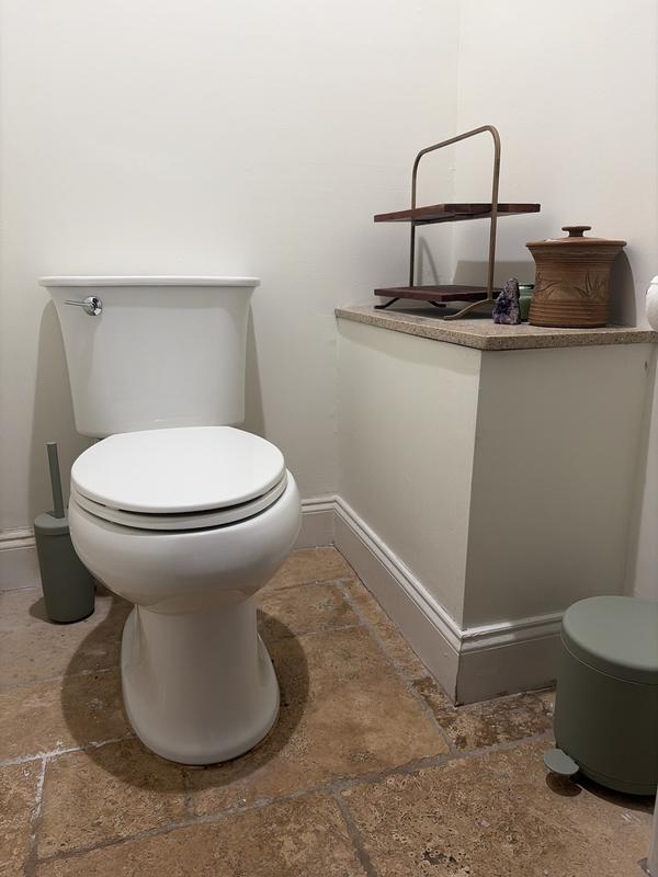 Toilet brush with matching waste bin, eucalyptus.