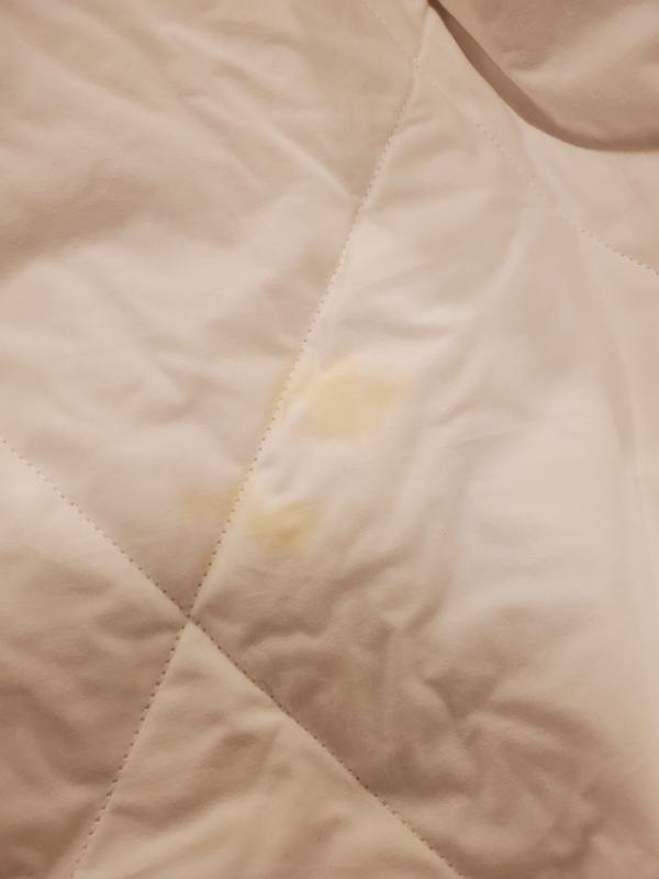 disgusting stain on the blanket