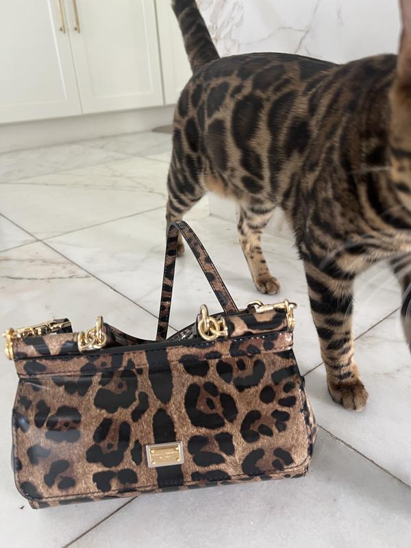 D&g leopard print bag hotsell