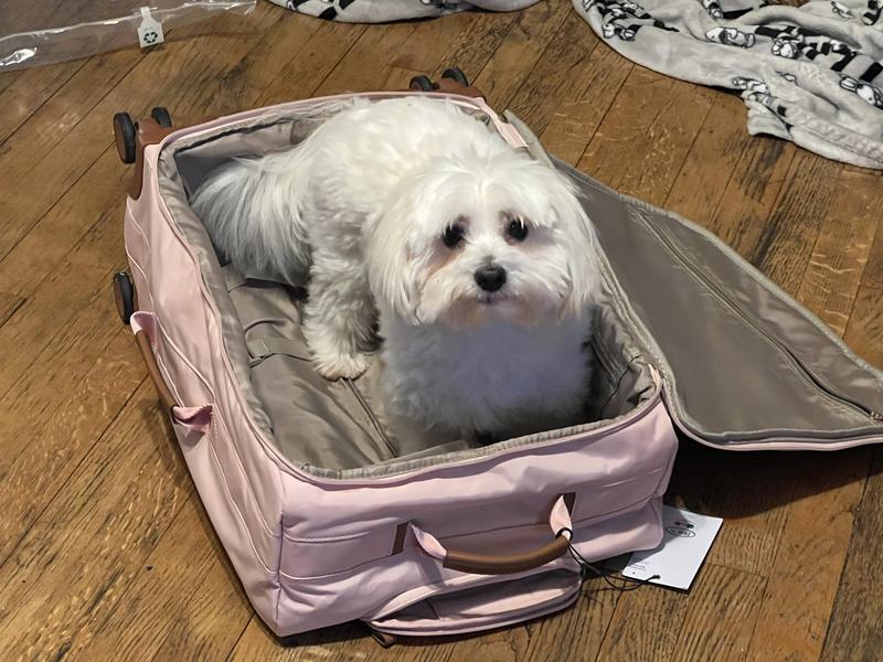 So cozy, my dog loves it too!