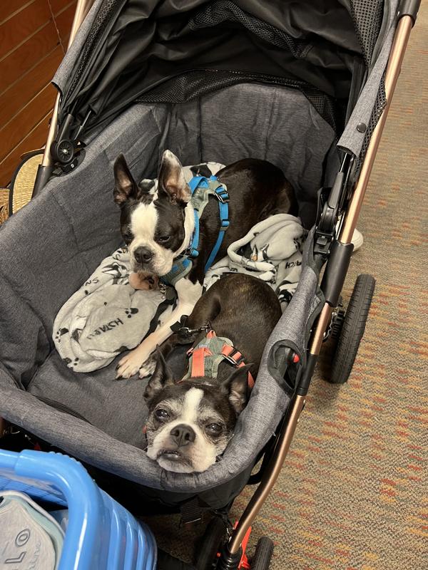 HPZ Pet Rover Pet Rover SUV Heavy Duty Pet Stroller | Bloomingdale's Home