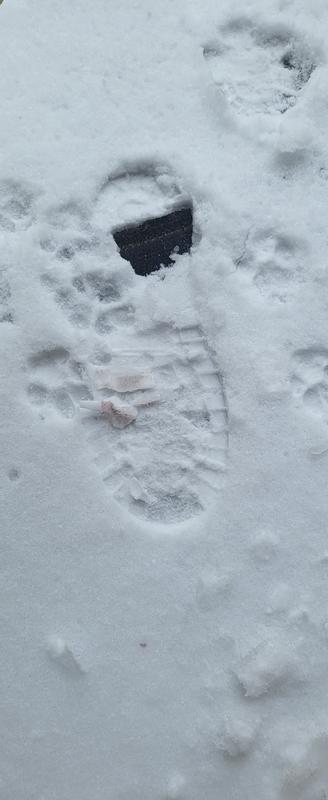 These red prints are everywhere outside and inside the house