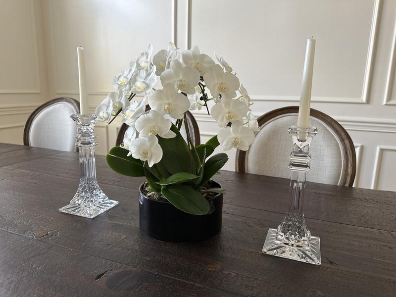 Stunning table addition.