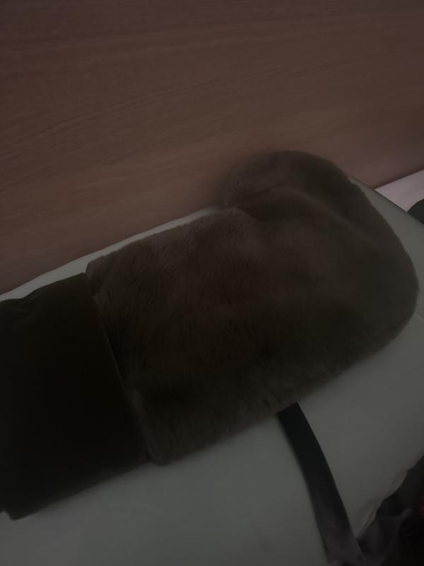 on her bed everyone