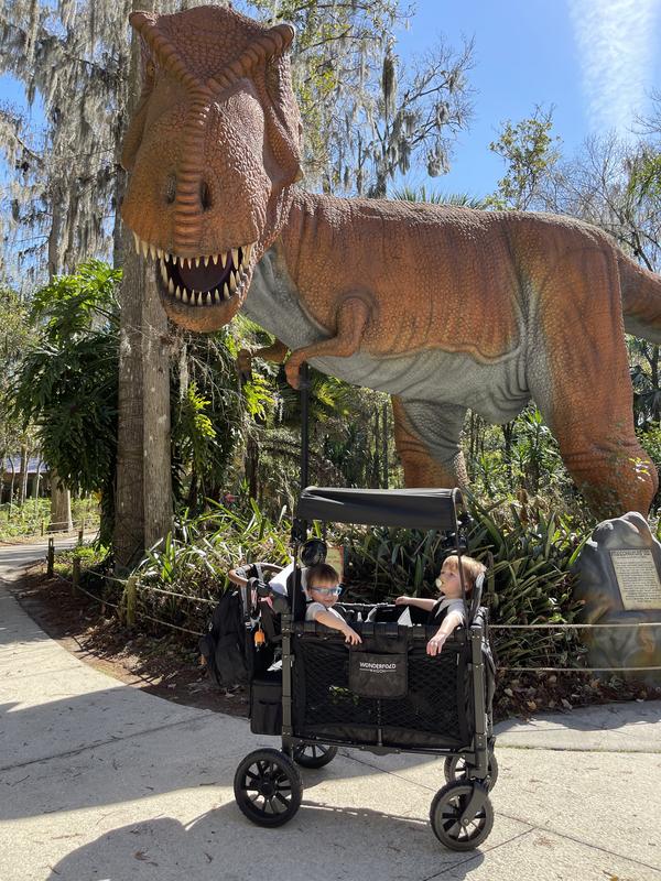 Dinosaur World
