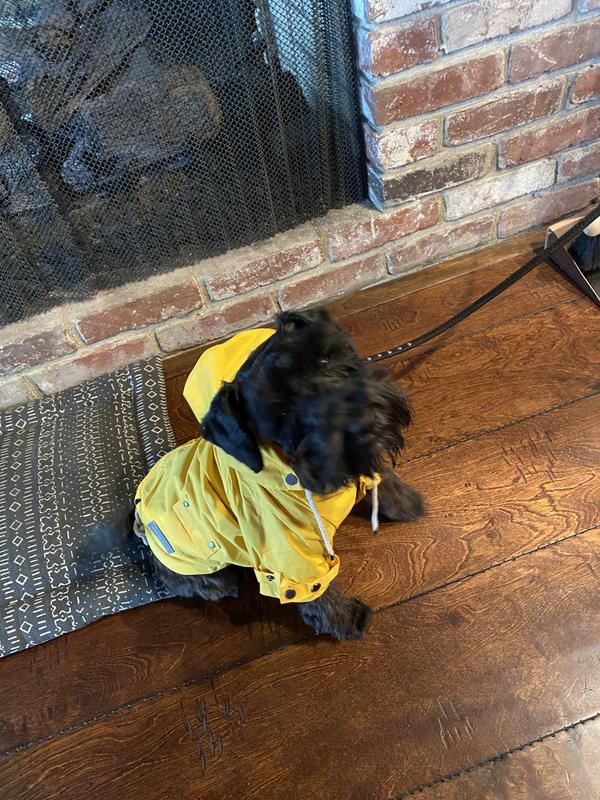 My new raincoat !!!
