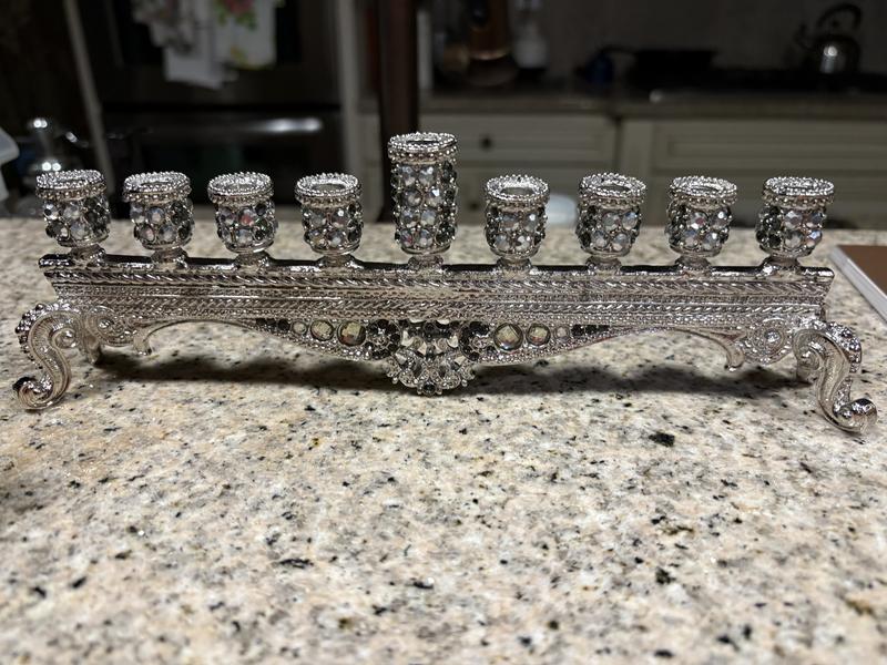 Olivia Riegel Abby Menorah