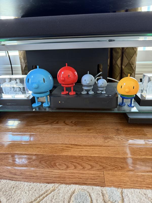 The two I bought join my other hoptimists.  Trying to collect all the colors and sizes but I like the small and minis the best.