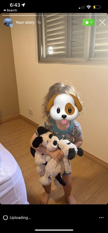 Infant Bashful Medium Puppy - 12 - Ages 12 Months+