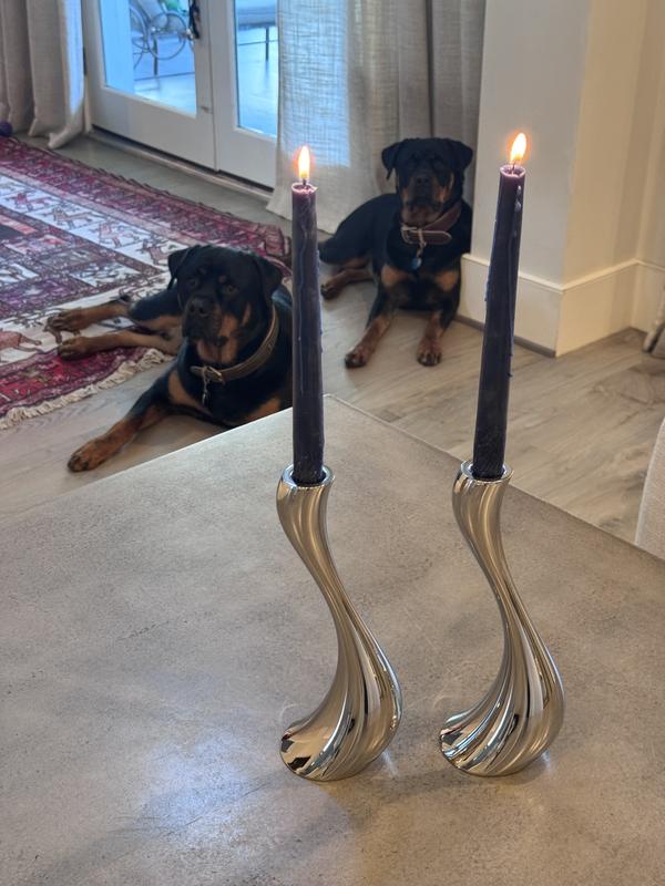 My friends dogs  enjoy her GJ silver candlesticks